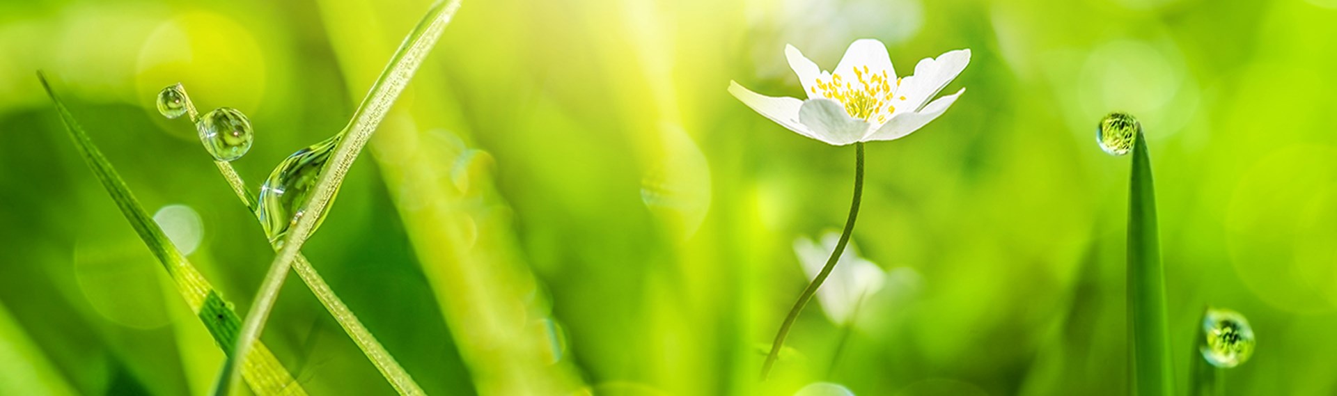Headerbild Neu